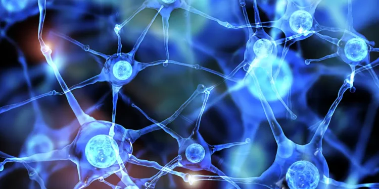 Innovation : quand les neurones artificiels imitent le cerveau pour moins consommer