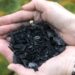 Une découverte suédoise permet de neutraliser le DDT et de réhabiliter les terres polluées