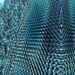 Des scientifiques capturent l'instant où la matière bascule dans un état extraordinaire