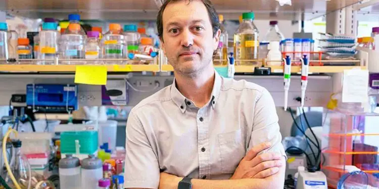 Rubisco : l'enzyme qui capture 100 gigatonnes de carbone par an dévoile ses secrets