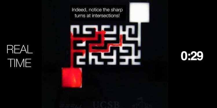 La science explique comment un colorant trouve son chemin dans un labyrinthe complexe