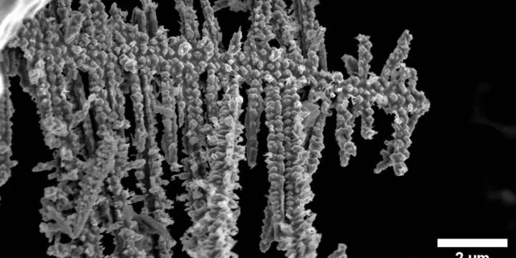 Des chercheurs identifient un "ratio d’or" pour prolonger la durée de vie des batteries