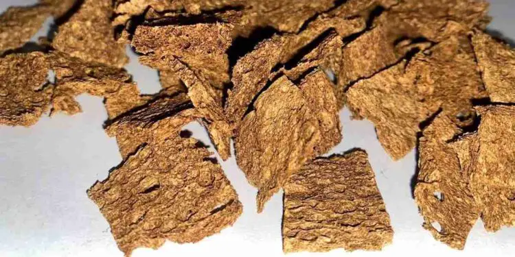 Une éponge capable de traiter cinq cycles de dépollution sans perte d’efficacité