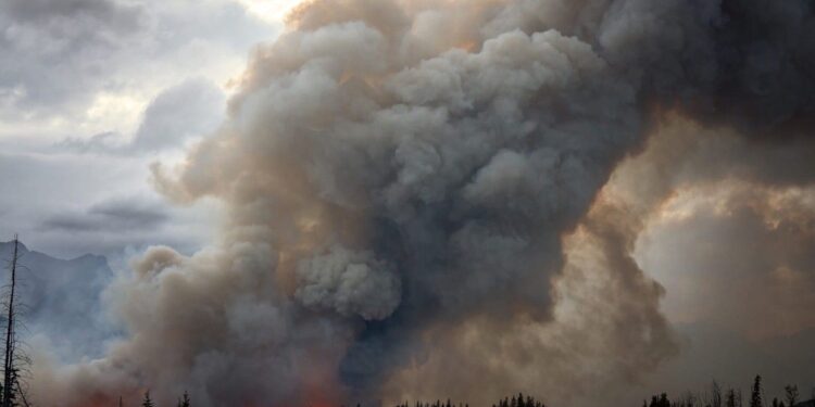 Les aérosols issus des feux de forêt accélèrent la formation de sulfate dans l’air