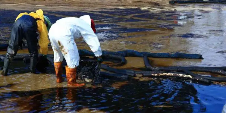 Des nanomatériaux testés pour accélérer la dépollution des écosystèmes côtiers