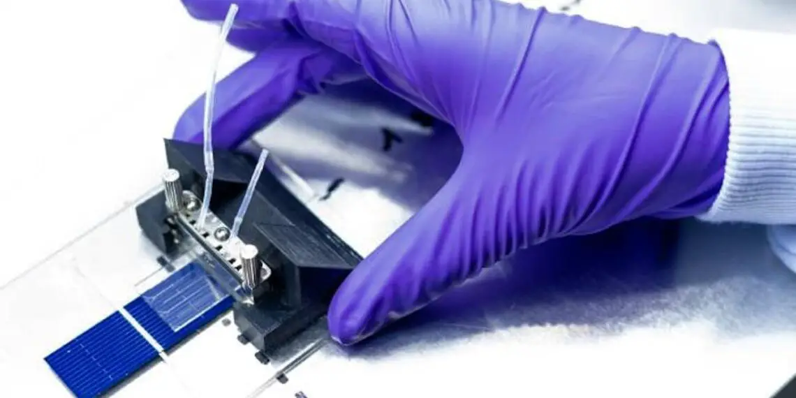 Des molécules organiques réduisent la chaleur des cellules photovoltaïques