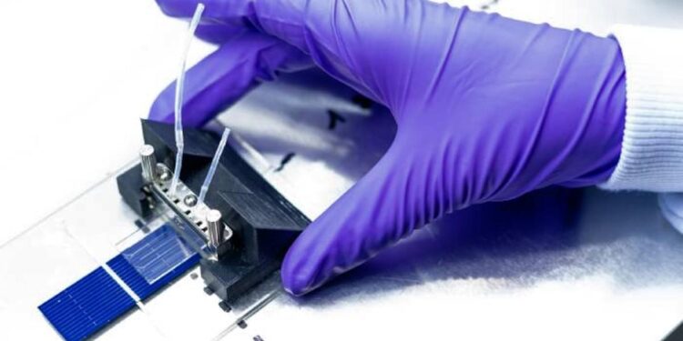 Des molécules organiques réduisent la chaleur des cellules photovoltaïques