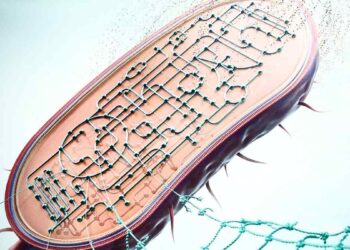 Vers un traitement écologique des déchets nylon grâce à une bactérie modifiée