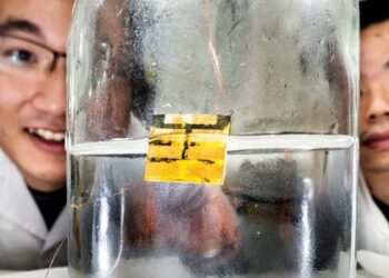 Une méthode suédoise recycle 100 % des cellules solaires sans solvants toxiques