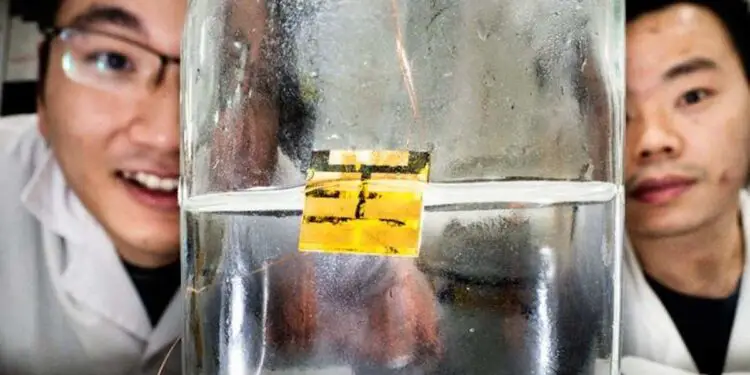 Une méthode suédoise recycle 100 % des cellules solaires sans solvants toxiques