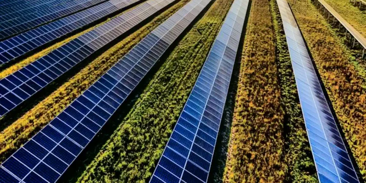 L'apprentissage automatique améliore la précision des prévisions en matière d'énergie solaire