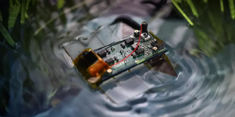 Un robot nageur miniature inspiré des vers plats marins