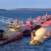 L'Espagne est le premier pays d'Europe à exploiter le potentiel des énergies marines renouvelables