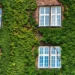 Améliorez votre confort thermique avec des menuiseries performantes et écologiques