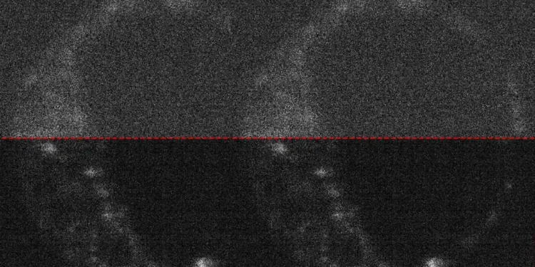 Des caméras inspirées des quanta capturent le début de la vie