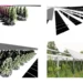 La croissance de l'énergie solaire : optimiser les systèmes agrivoltaïques pour les cultures et l'énergie propre