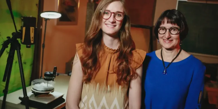 Une étude montre comment les arachnides constructeurs de toiles s'adaptent au bruit