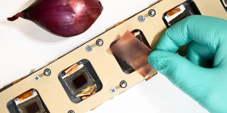 Des films biodégradables pour protéger les cellules solaires : une innovation finlandaise