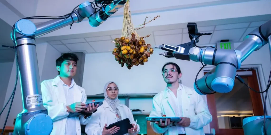 L’innovation robotique réinvente la récolte des dattes en Arabie saoudite