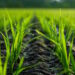 Les élèves des lycées agricoles sont-ils hostiles à l’agroécologie ?