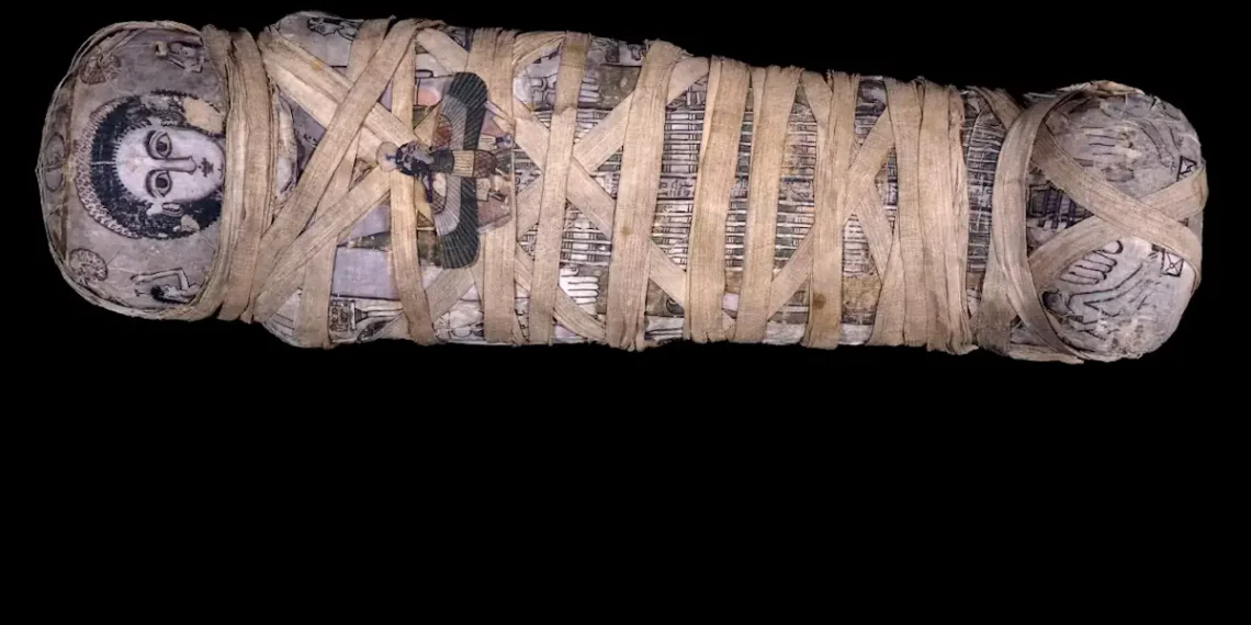 Les fibres de lin, de l'Égypte antique aux matériaux composites biobasés