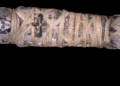 Les fibres de lin, de l'Égypte antique aux matériaux composites biobasés