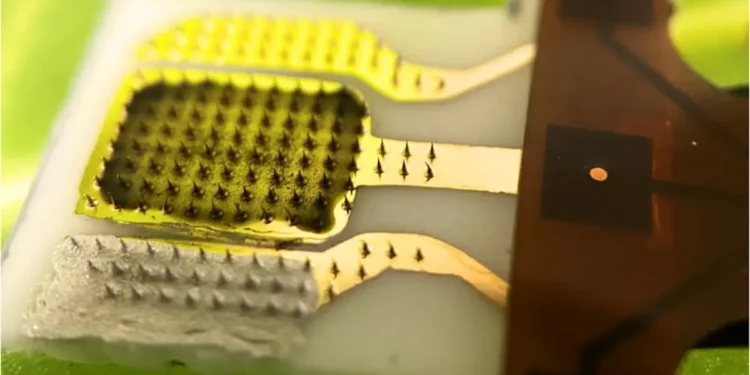 Les capteurs de plantes détectent les signaux de pression en temps réel