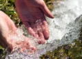 Les couvertures nanotechnologiques en 3D ouvrent une nouvelle voie vers l'eau potable
