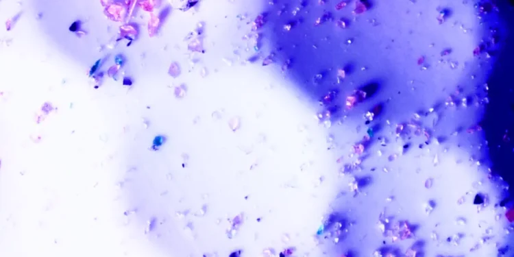 Un revêtement innovant pour le golf : quand la science affine l'art du putting