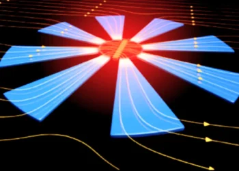 Des microfleurs métalliques pour amplifier les champs magnétiques