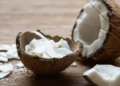 Comment les noix de coco obtiennent-elles leur eau ?