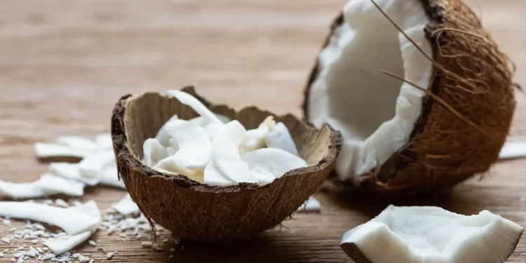 Comment les noix de coco obtiennent-elles leur eau ?