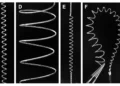 Un nouveau procédé de fabrication permet aux muscles artificiels de se mettre en action