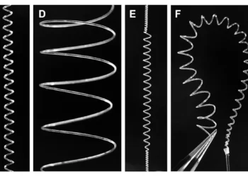 Un nouveau procédé de fabrication permet aux muscles artificiels de se mettre en action