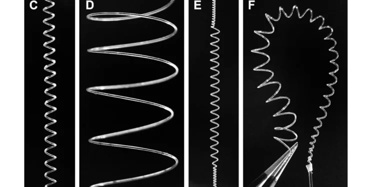 Un nouveau procédé de fabrication permet aux muscles artificiels de se mettre en action
