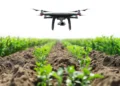 Un drone et une caméra bon marché pour sélectionner des plantes tolérantes à la sécheresse