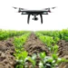 Un drone et une caméra bon marché pour sélectionner des plantes tolérantes à la sécheresse