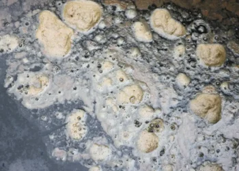 Une exploration de solutions énergétiques durables grâce à la carbonisation hydrothermale des boues d'épuration