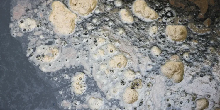 Une exploration de solutions énergétiques durables grâce à la carbonisation hydrothermale des boues d'épuration