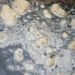 Une exploration de solutions énergétiques durables grâce à la carbonisation hydrothermale des boues d'épuration