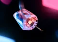 Un mini robot roulant réalise des biopsies virtuelles