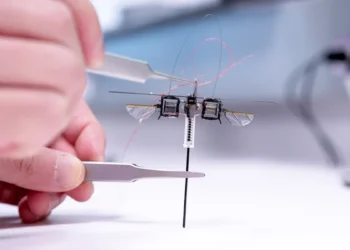Le saut permet à ce petit robot d'avoir une longueur d'avance