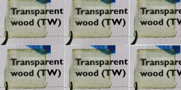 Fabriquer du bois solide et semi-transparent avec des matériaux naturels bon marché