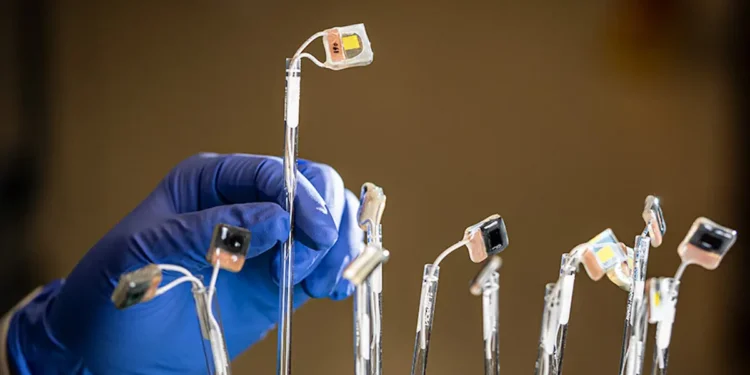 Des scientifiques mettent au point une feuille artificielle qui utilise la lumière du soleil pour produire des produits chimiques précieux