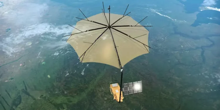 Mission Biomass : un satellite pour mieux comprendre comment les forêts stockent (et émettent) du carbone