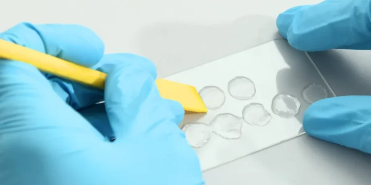 Peau artificielle en hydrogel