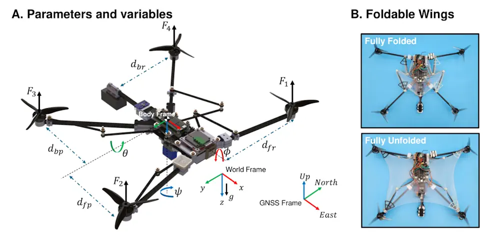 Figure 1 : Vue d'ensemble d'un drone écureuil volant