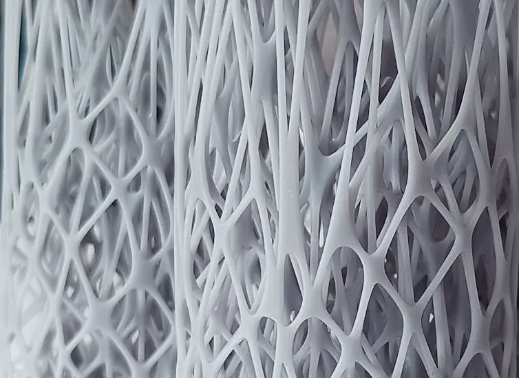 Structures organiques imprimées en 3D générées dans ARIES par Alex Bernadi Forteza (doctorant), dans le cadre d'un projet cofinancé par l'ESA (Agence spatiale européenne)