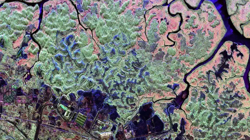 Image radar aérienne de forêts de mangroves au Gabon Cette image radar montre des forêts de mangroves près de Nkok au Gabon, capturées par le système radar aéroporté du DLR en 2016. La mission Biomass de l'ESA permettra la première détermination précise de la biomasse forestière. Les images radar aéroportées comme celle-ci ont été cruciales pour le développement de la mission. Les vols de mesure ont été effectués à l'aide de l'avion de recherche Dornier DO 228-212 du DLR, exploité par le centre d'expérimentation en vol d'Oberpfaffenhofen. Les campagnes ont été menées par le DLR en collaboration avec l'ESA.