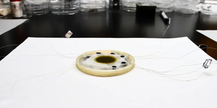 Des chercheurs mettent au point un matériau d'extraction de chaleur pour un refroidissement localisé